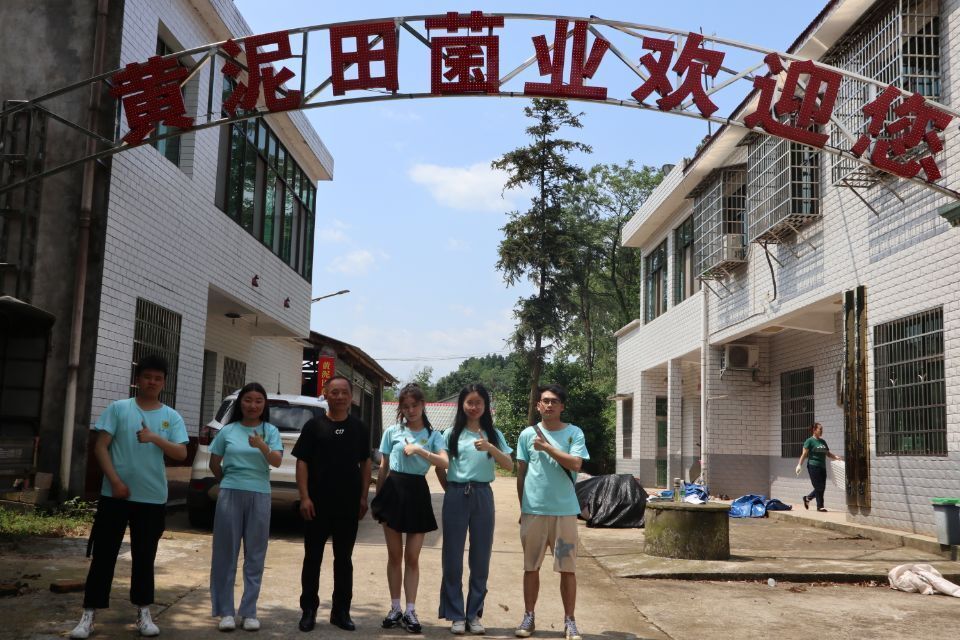 合影